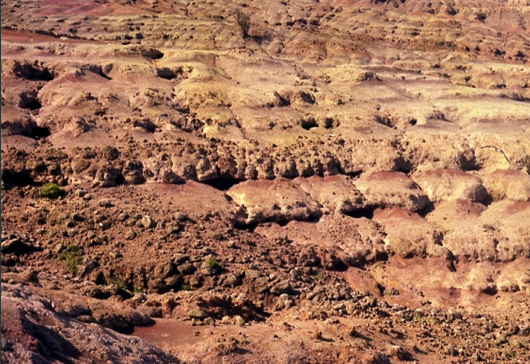 Background2.jpg